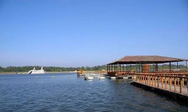 岱山翡翠岛宾馆电话_南戴河翡翠岛旅游攻略_翡翠岛景区电话