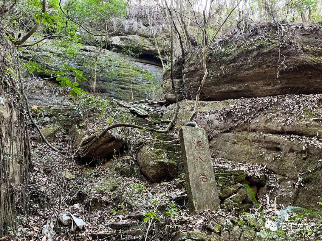 旅行攻略武夷山_武夷山，旅游，攻略_武夷山的攻略