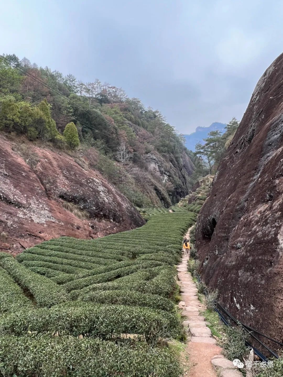 武夷山，旅游，攻略_旅行攻略武夷山_武夷山的攻略