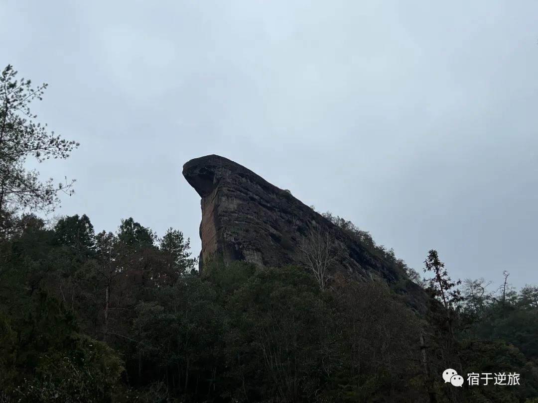 旅行攻略武夷山_武夷山的攻略_武夷山，旅游，攻略