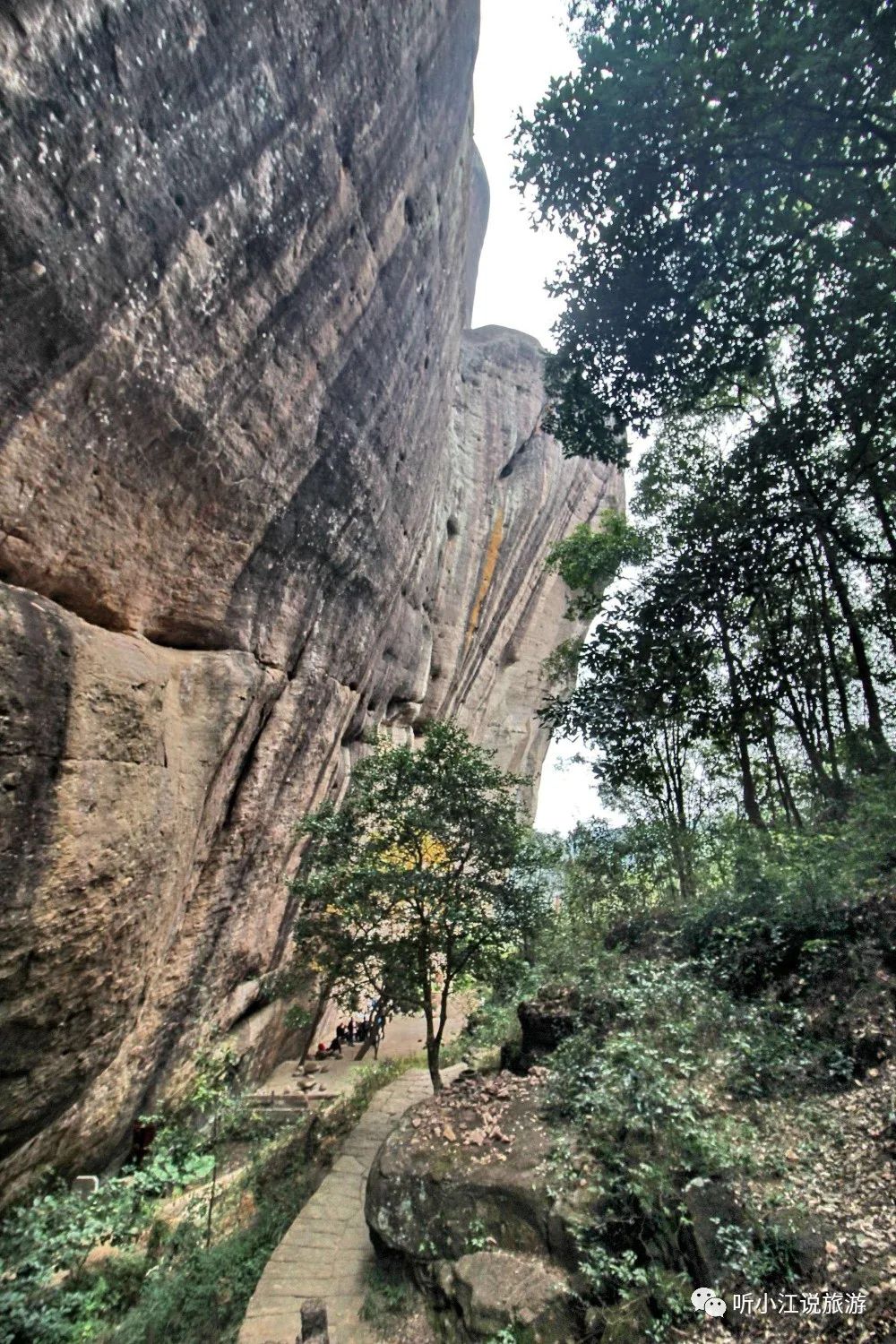 武夷山，旅游，攻略_旅行攻略武夷山_武夷山的攻略