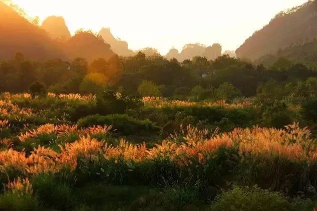 武夷山，旅游，攻略_武夷山的攻略_攻略旅游武夷山路线