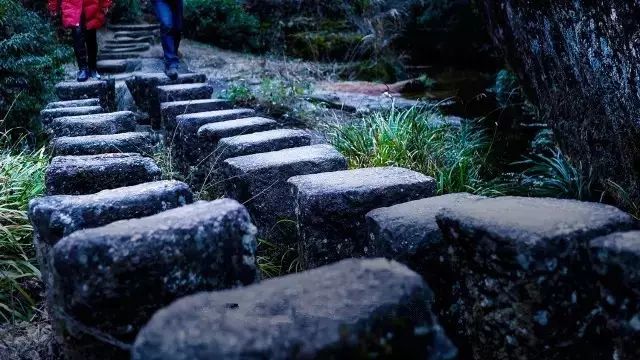 武夷山，旅游，攻略_武夷山的攻略_攻略旅游武夷山路线