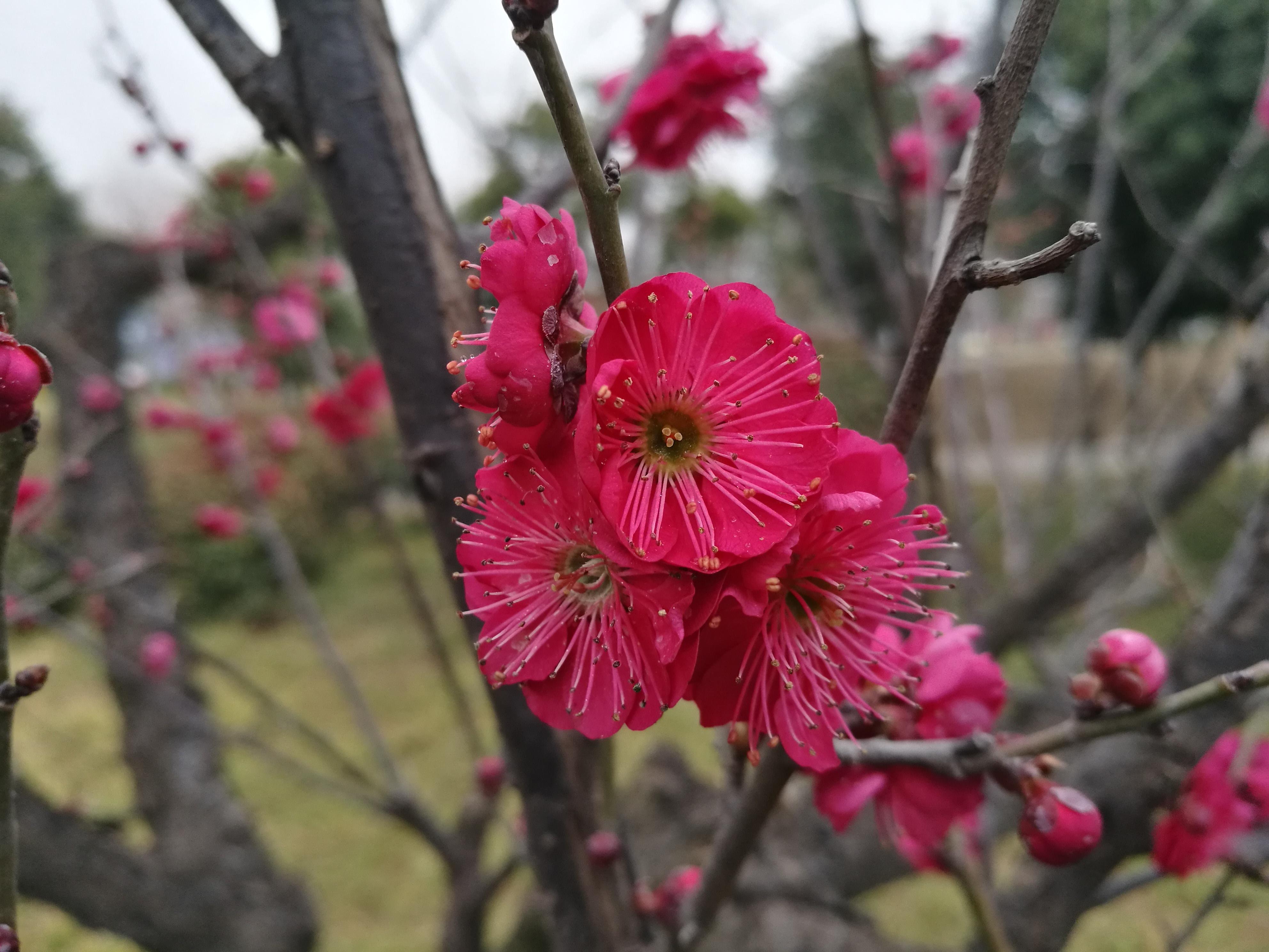 荥阳好玩的景点_荥阳景点_好玩景点荥阳有哪些