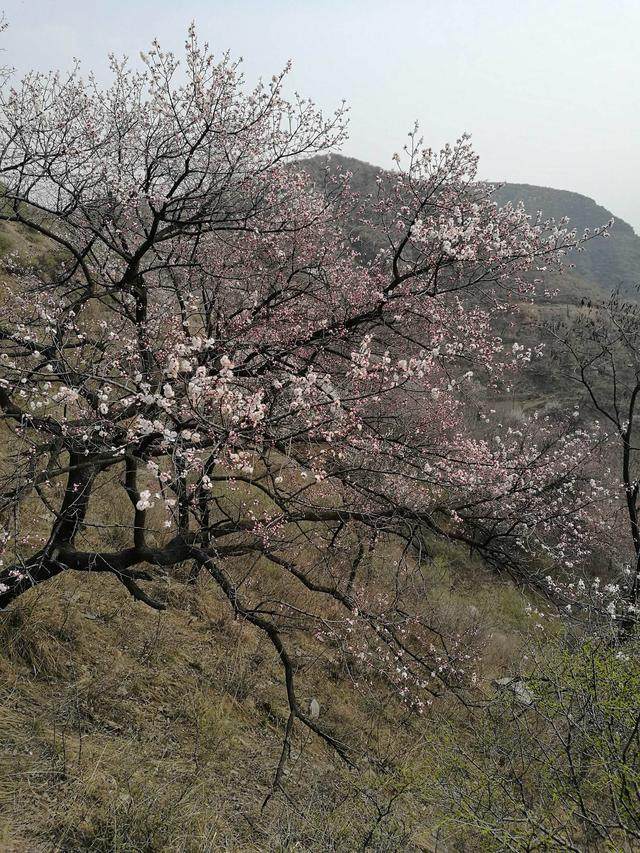 荥阳好玩的景点_好玩景点荥阳有哪些_荥阳景点