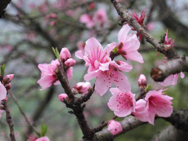 荥阳景点_荥阳好玩的景点_好玩景点荥阳有哪些