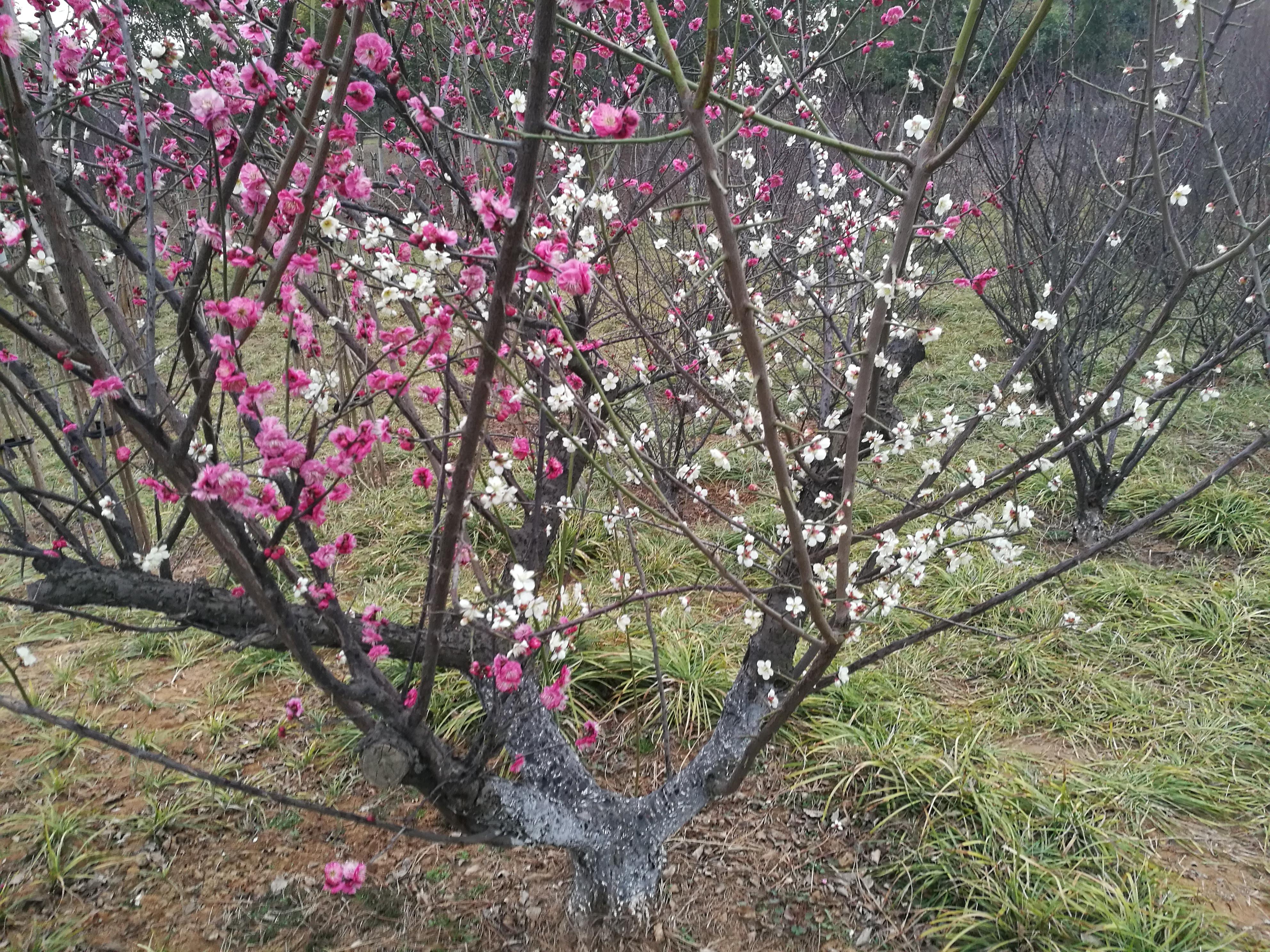 荥阳景点_荥阳好玩的景点_好玩景点荥阳有哪些