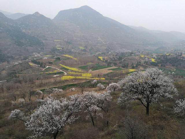 荥阳景点_好玩景点荥阳有哪些_荥阳好玩的景点