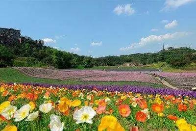 湄江风景区旅游攻略_湄江风光_湄江风景区导游图