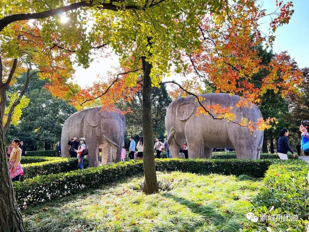 旅游景点南京附近_南京附近游玩_南京附近好玩的景点