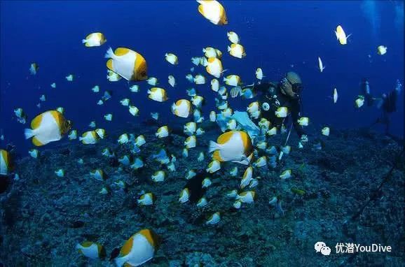 海岛国外旅游推荐去哪里好_国外海岛旅游景点_去国外海岛旅游推荐