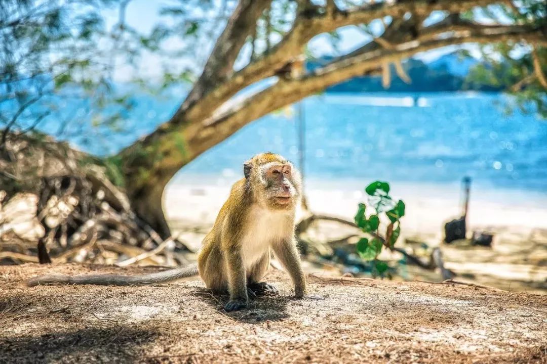 去国外海岛旅游推荐_海岛国外旅游推荐去哪里_海岛国外旅游推荐去哪里玩