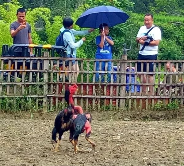 怀化到西江千户苗寨旅游攻略_怀化到西江千户苗寨怎么坐车_去西江苗寨路线