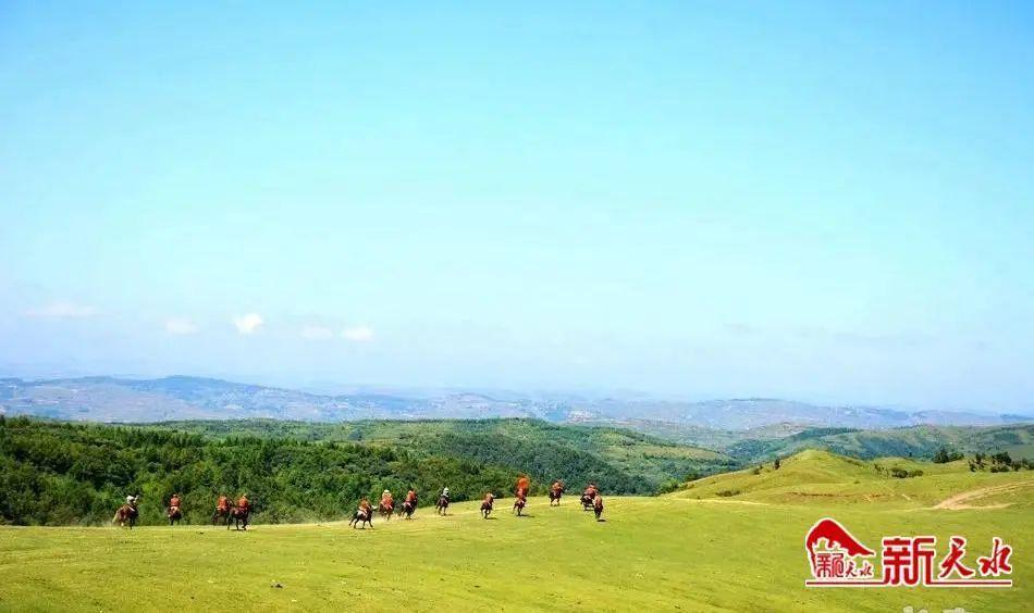 天水旅游必去景点麦积山_去天水麦积山旅游攻略_天水攻略旅游山去麦积山怎么走