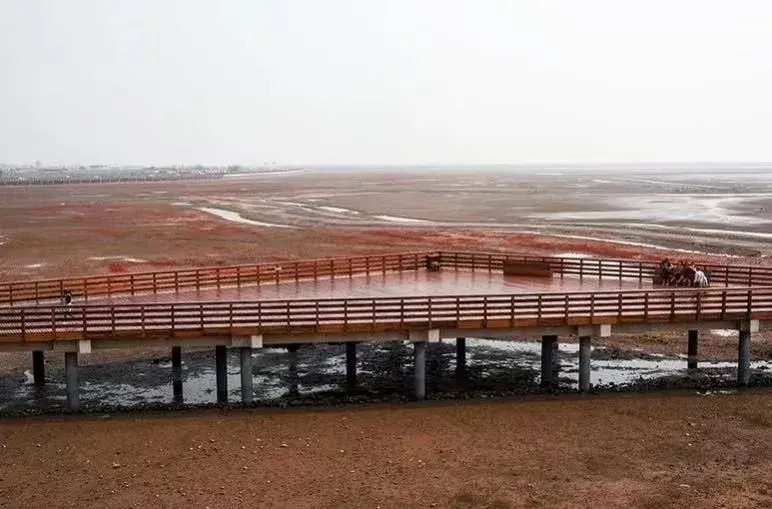 兴城觉华岛图片_兴城觉华岛门票_兴城觉华岛旅游攻略