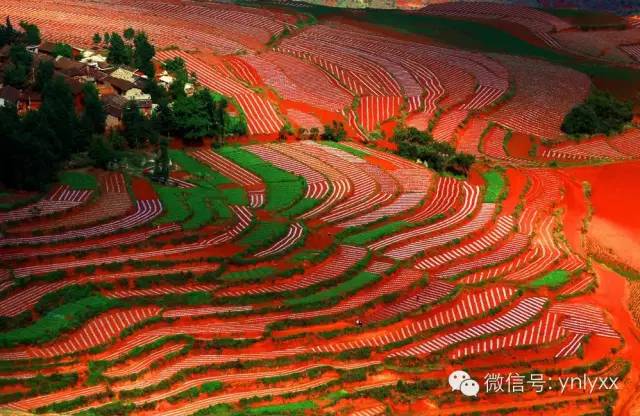 昆明世博园旅游攻略_老黄牛耕读园开心农场旅游攻略_昆明大理丽江香格里拉旅游攻略