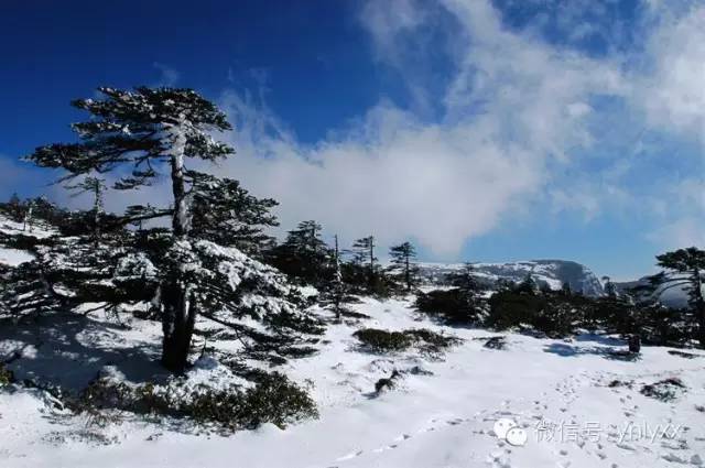 昆明大理丽江香格里拉旅游攻略_老黄牛耕读园开心农场旅游攻略_昆明世博园旅游攻略