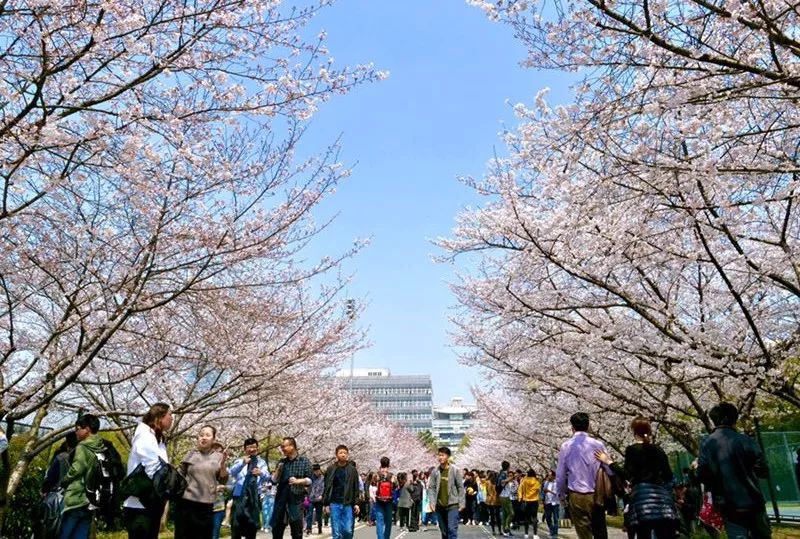 天冷上海有什么地方好玩_上海宝山好玩的地方_上海周边自驾游哪些地方好玩