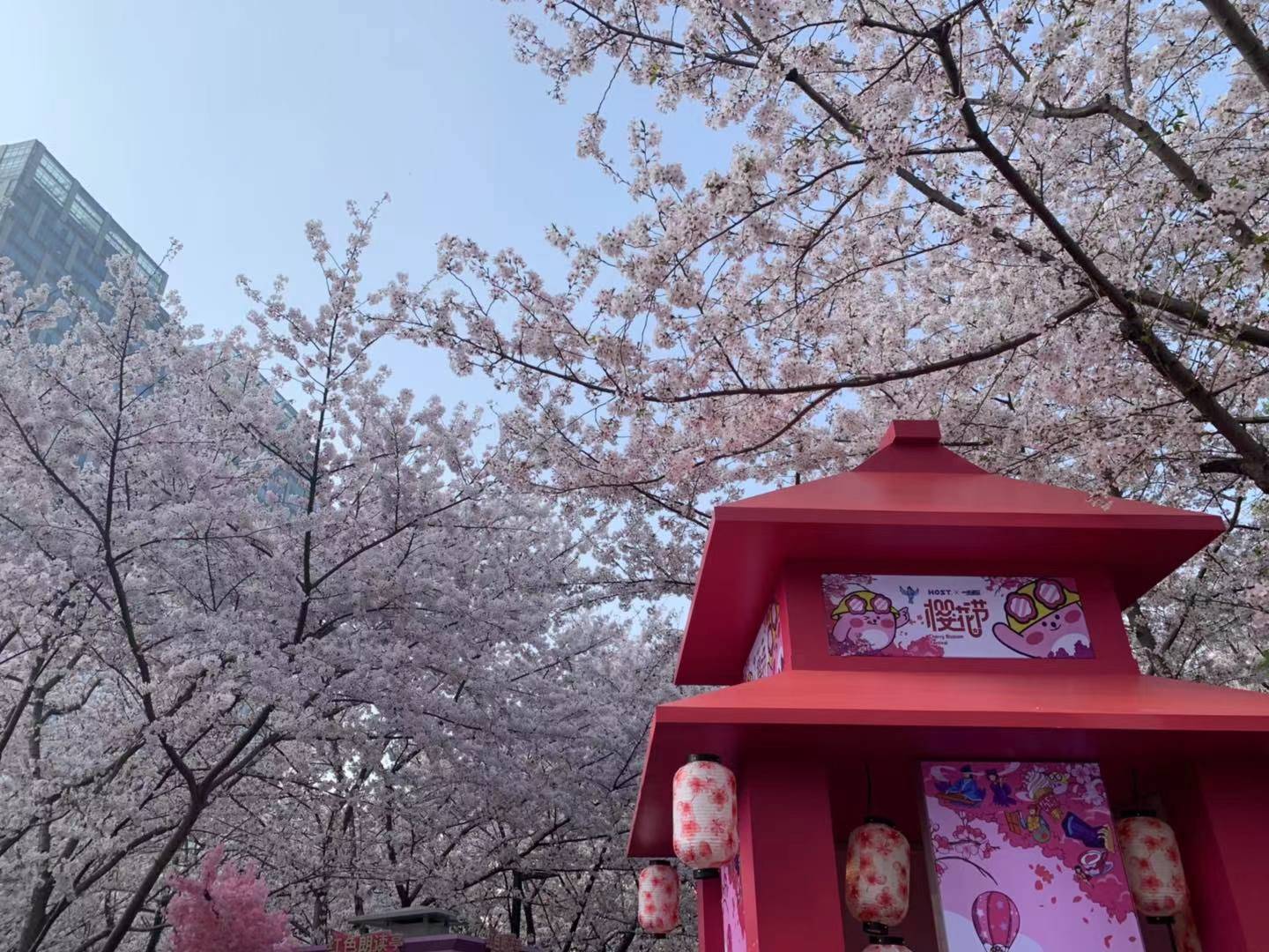 天冷上海有什么地方好玩_上海周边自驾游哪些地方好玩_上海宝山好玩的地方