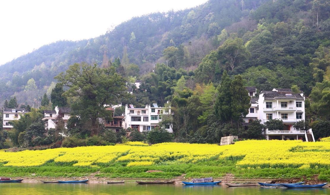 百里山水画廊旅游攻略_延庆百里画廊旅游攻略_百里山水画廊攻略