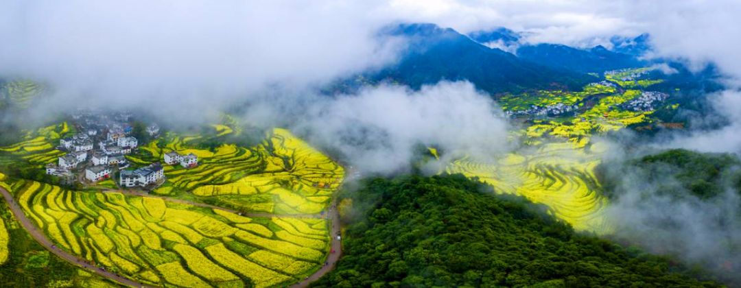 婺源清明旅游攻略_南昌到婺源旅游攻略_广州到婺源旅游攻略