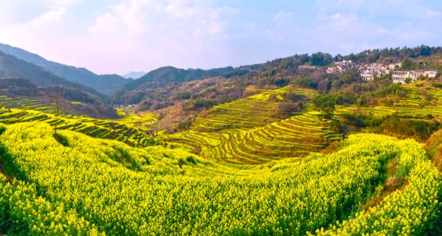 婺源清明旅游攻略_南昌到婺源旅游攻略_广州到婺源旅游攻略