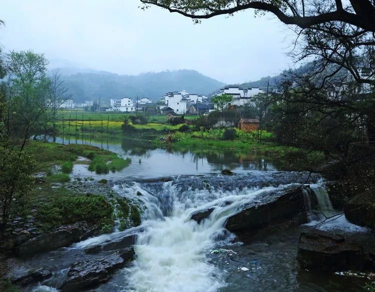 婺源清明旅游攻略_南昌到婺源旅游攻略_广州到婺源旅游攻略