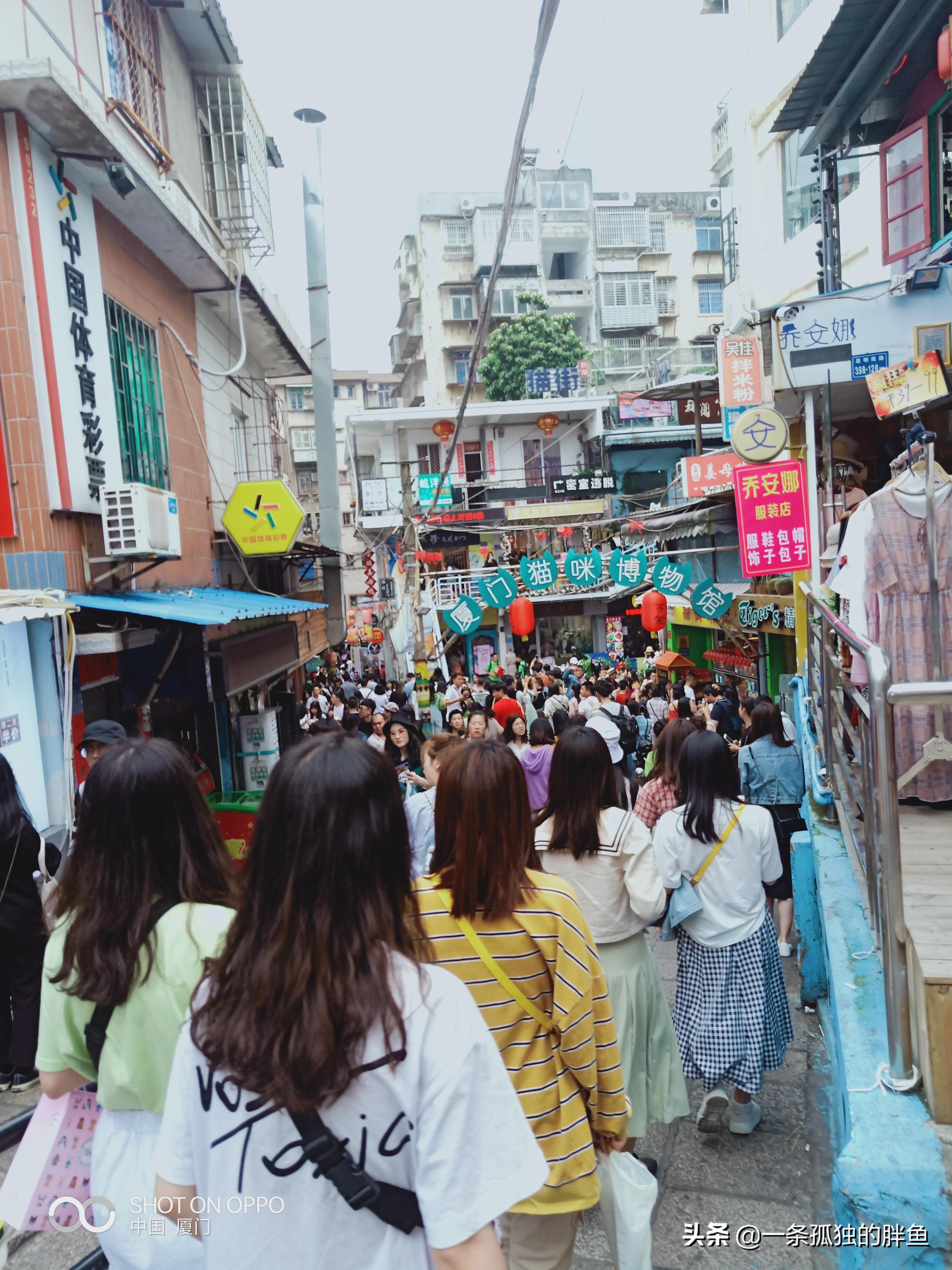 厦门漳州旅游攻略_厦门漳州一日游攻略_厦门漳州有什么好玩的地方