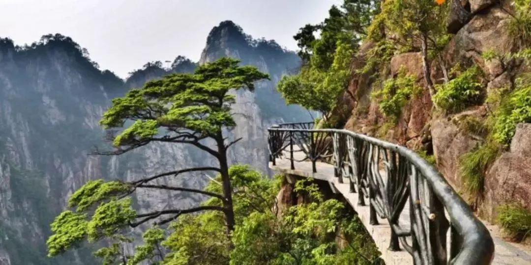 浙江大明山旅游风景点_浙江大明山旅游攻略_浙江大明山二日游攻略