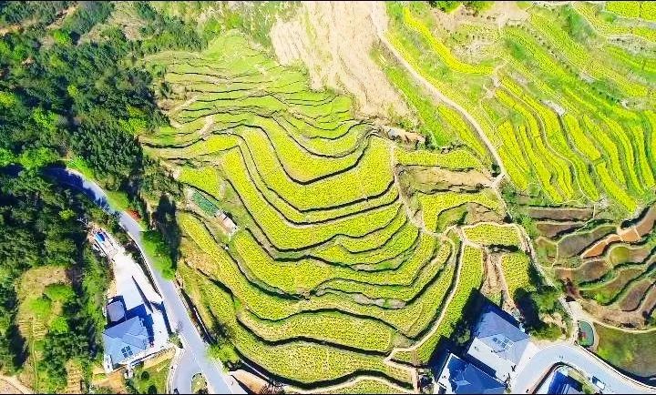 浙江大明山旅游风景点_浙江大明山二日游攻略_浙江大明山旅游攻略