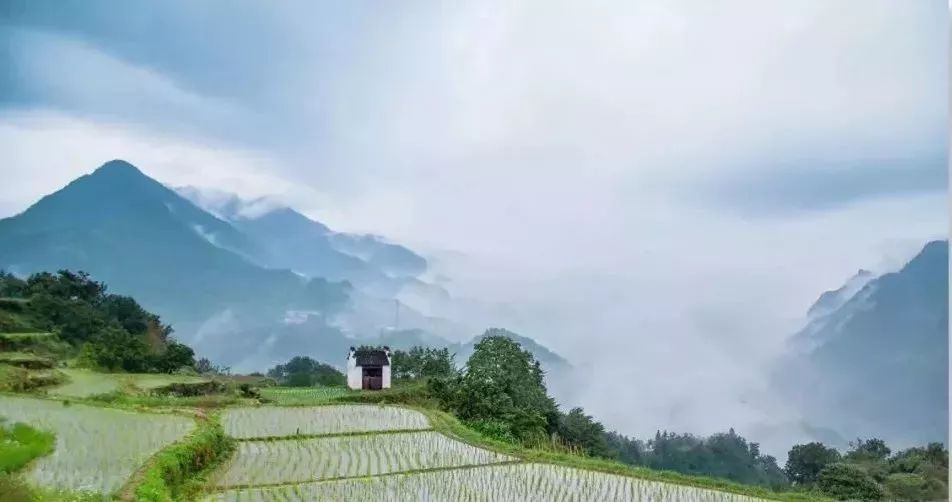 浙江大明山二日游攻略_浙江大明山旅游攻略_浙江大明山旅游风景点