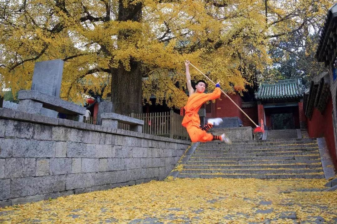 华山西安旅游线路_2016年西安华山旅游攻略_西安华山旅游攻略3天