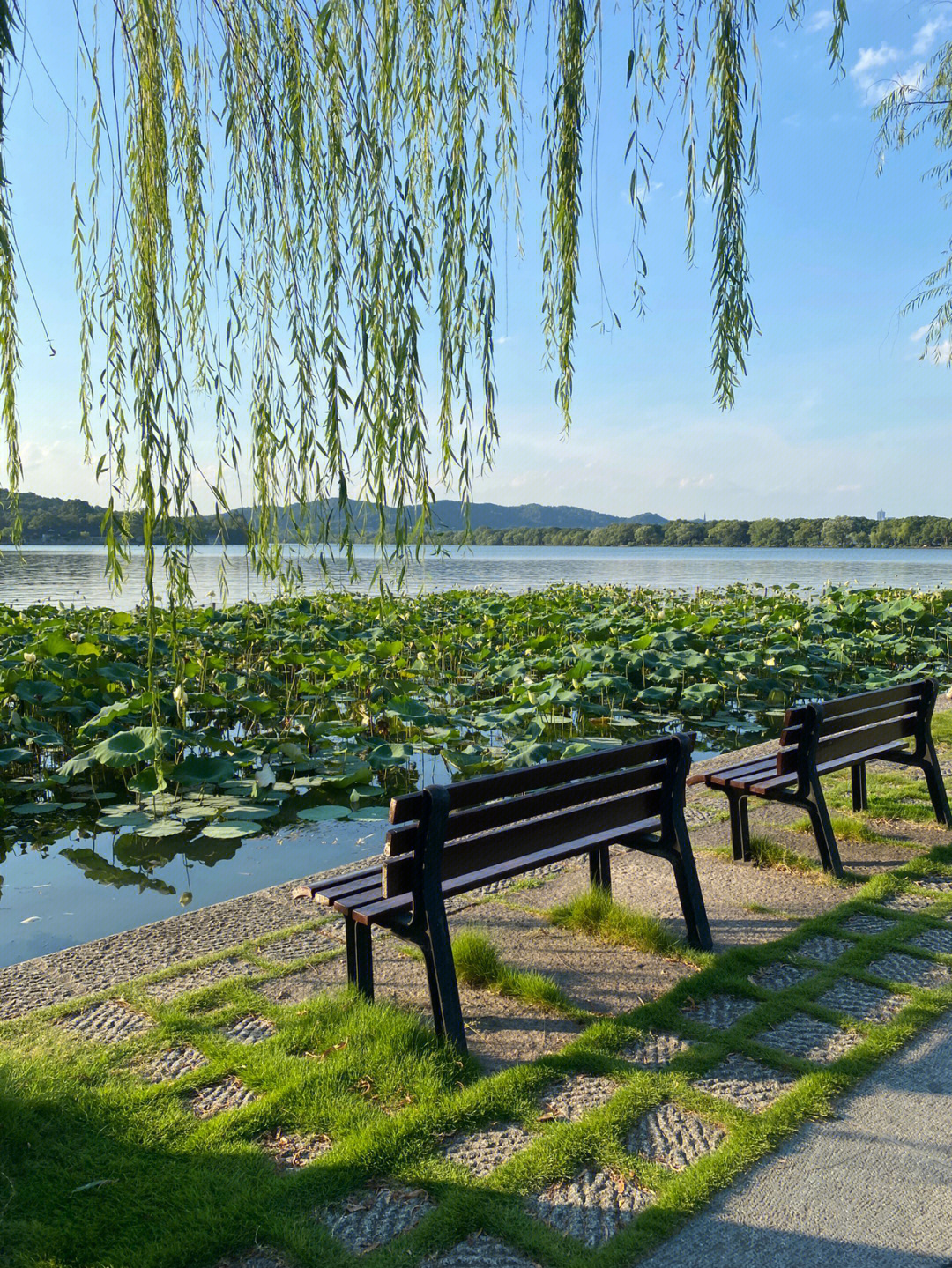 福州西湖图片风景图片