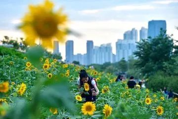 福州好玩的景点推荐_福州市有好玩的景点么_福州市区有什么好玩的景点