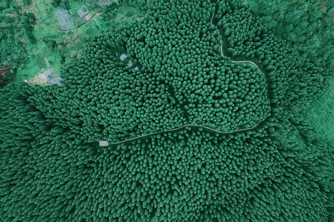 成都周边一天游玩_成都周边旅游景点天气_成都周边7天旅游攻略