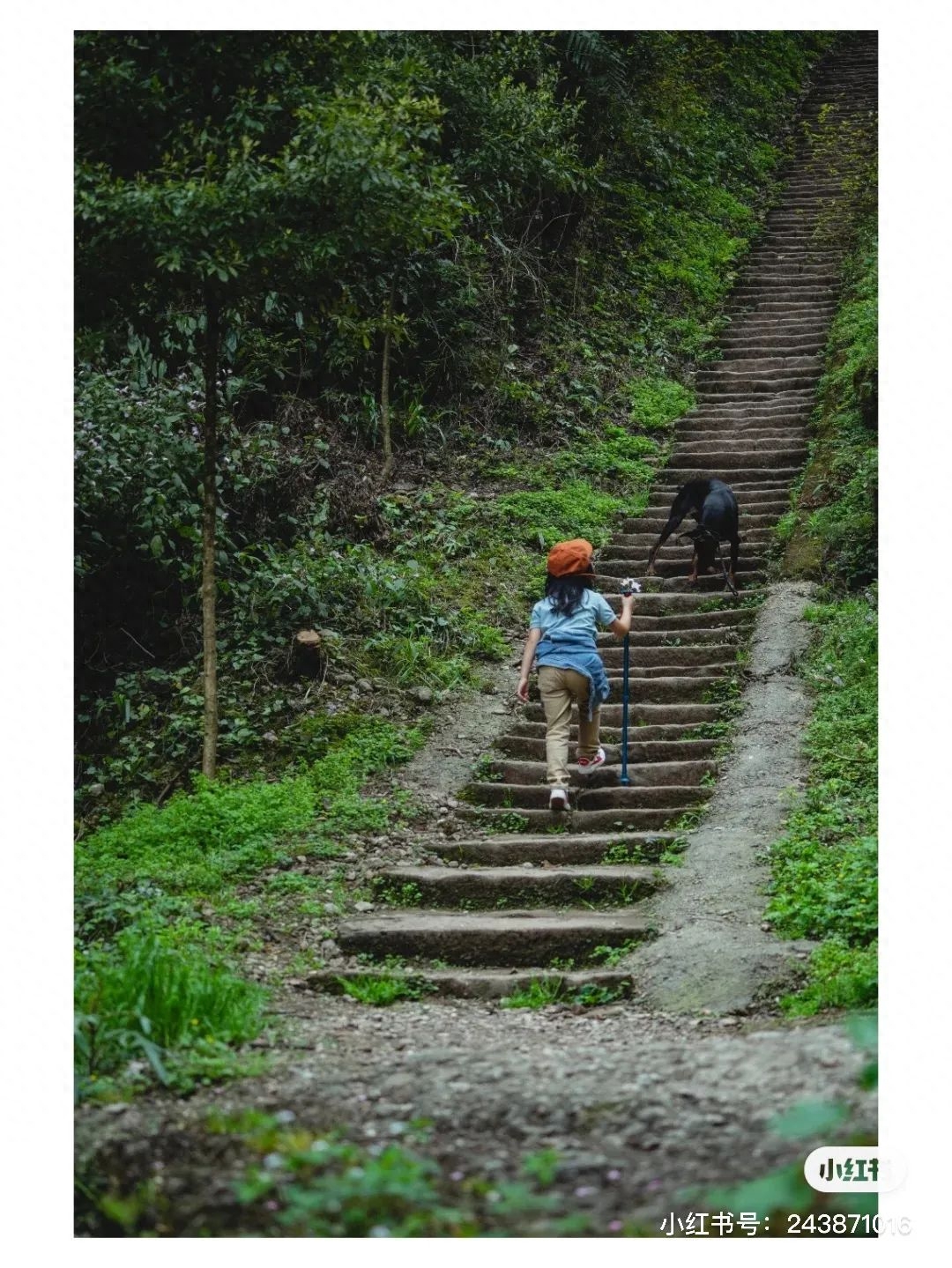 成都周边7天旅游攻略_成都周边旅游景点天气_成都周边一天游玩