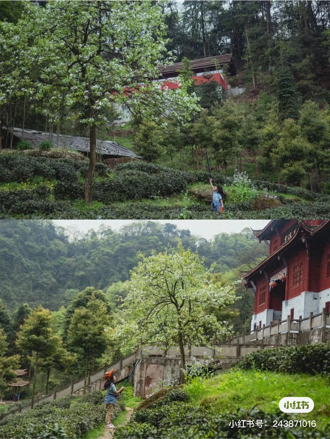 成都周边7天旅游攻略_成都周边旅游景点天气_成都周边一天游玩