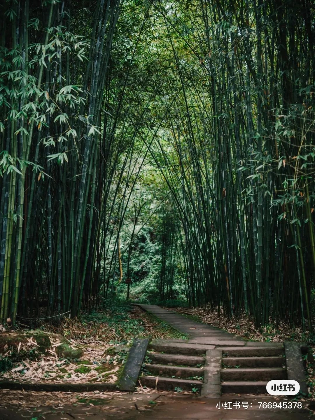 成都周边一天游玩_成都周边7天旅游攻略_成都周边旅游景点天气