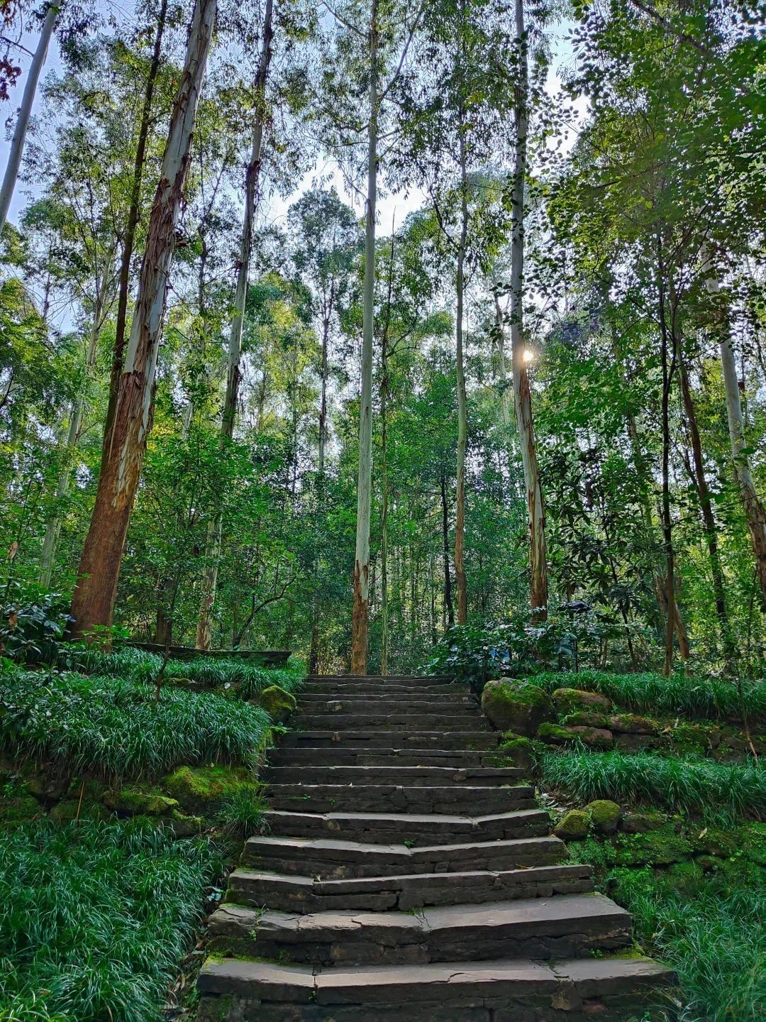 成都周边一天游玩_成都周边旅游景点天气_成都周边7天旅游攻略