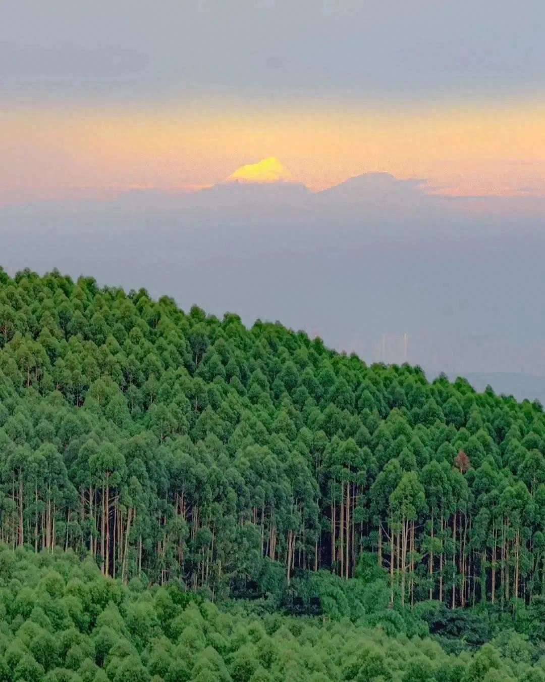 成都周边7天旅游攻略_成都周边旅游景点天气_成都周边一天游玩