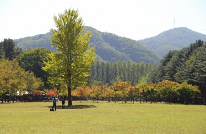 釜山旅游景点攻略_攻略釜山旅游的地方_釜山旅游攻略