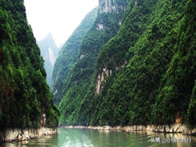 长江三峡游轮邮轮_长江三峡邮轮旅游攻略_长江三峡游轮介绍