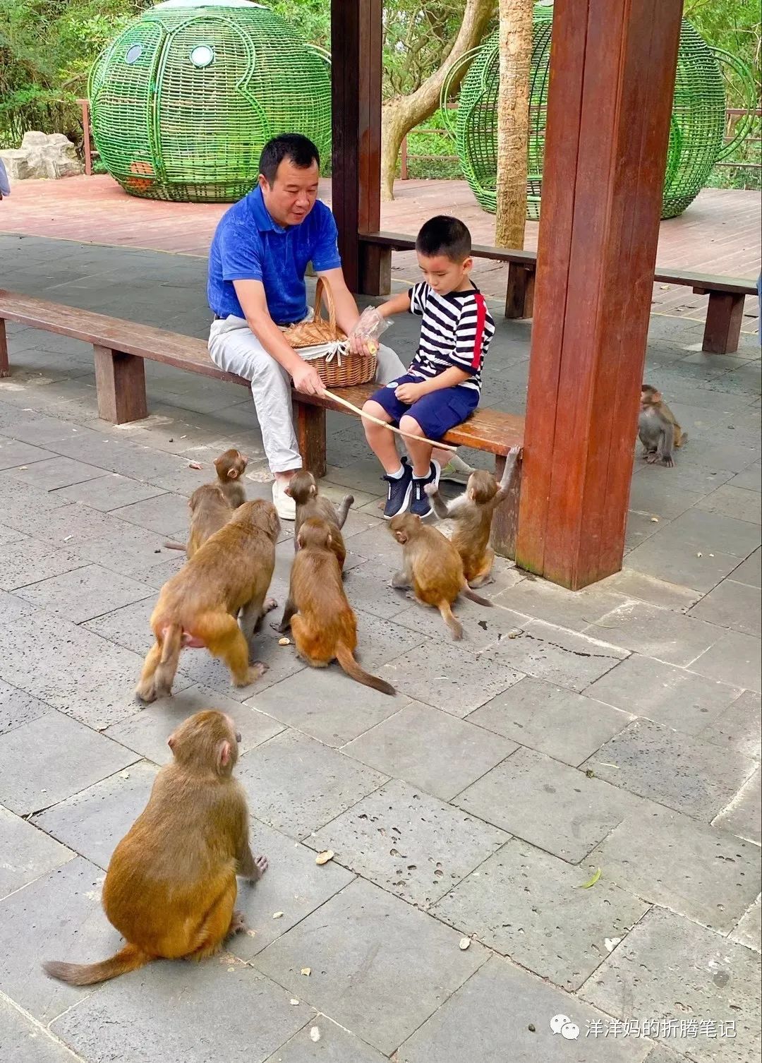 陵水有什么好玩的景点_陵水游玩的地方_陵水的景区