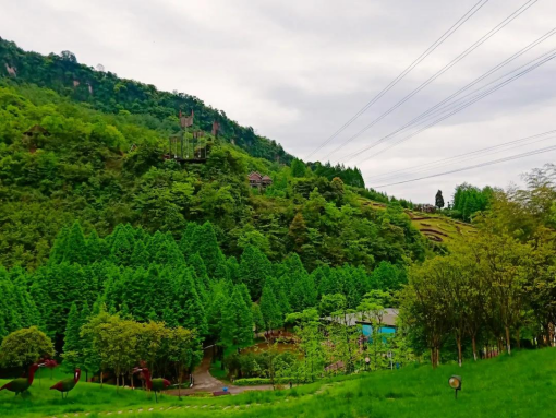 大邑鹤鸣山游玩攻略_大邑县的鹤鸣山_大邑鹤鸣山山崖营基地