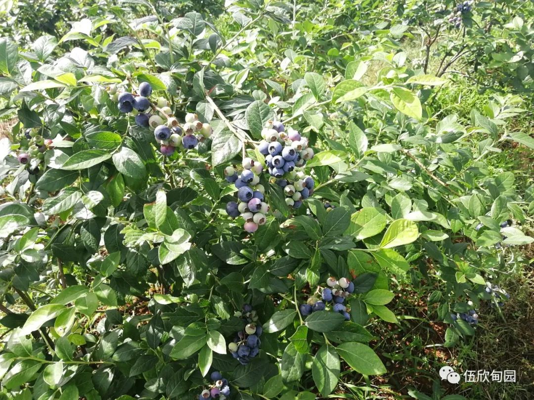 孝感周边游_孝感周边好玩的景点_孝感周边旅游景点推荐