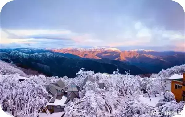 冬天国外旅游_如何修改微信群名称备注_梦见死去的外公叫我回家