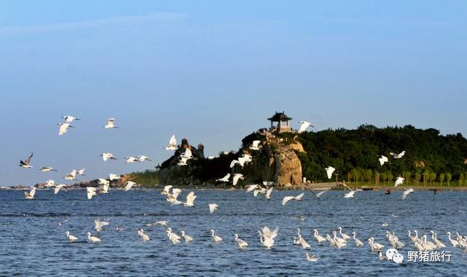 海关住宿条件_海关一日游流程_山海关旅游攻略住宿