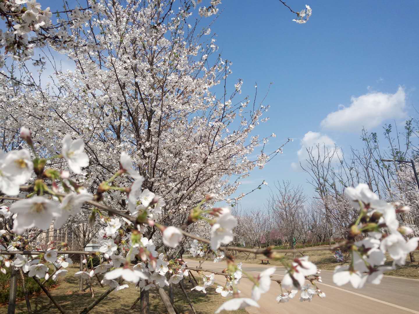 青神旅游景点排名_青神旅游攻略_青神旅游景点有哪些景点