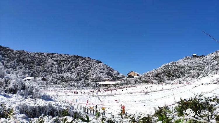 青神一日游_青神旅游_青神旅游攻略