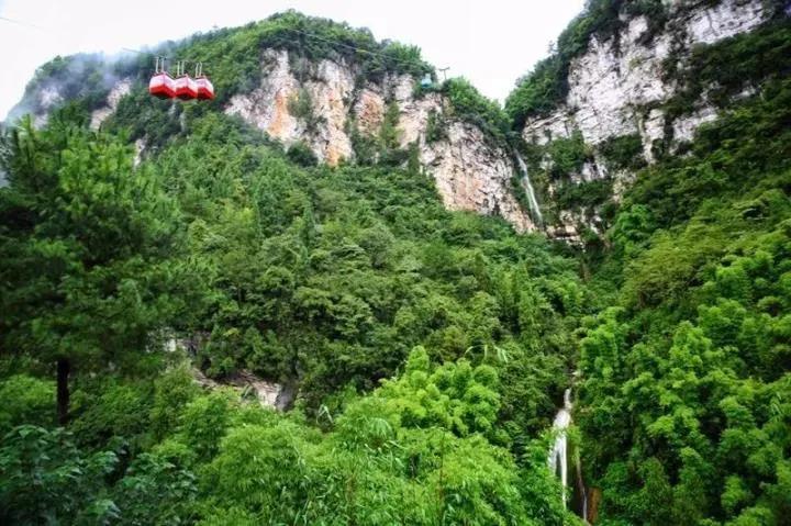 青神旅游攻略_青神一日游_青神旅游